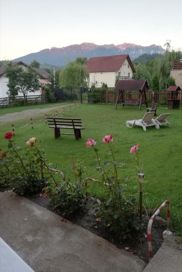Вилла Casa Jasmin Бран Экстерьер фото